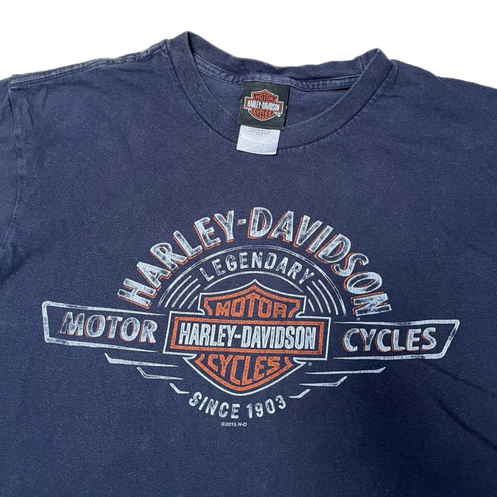 Vintage Harley Davidson graphic top